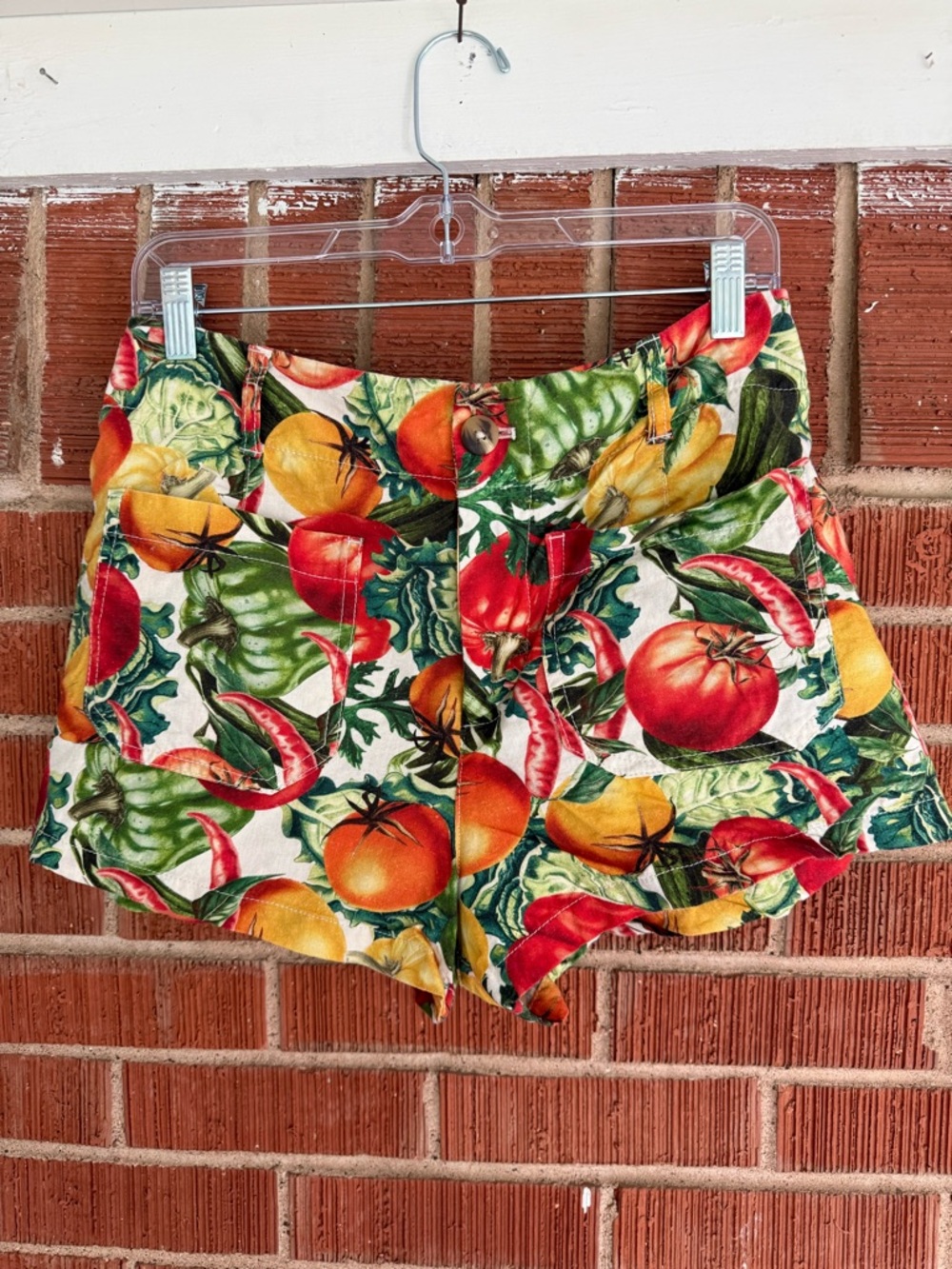 Anthropologie Maeve Colette vegetable printed shorts 29P
